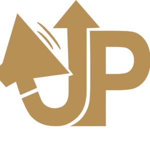 12 Month Artist Growth Outline